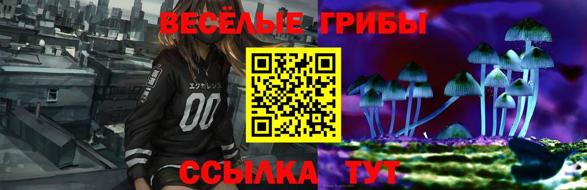 Галлюциногенные грибы GOLDEN TEACHER Дубна